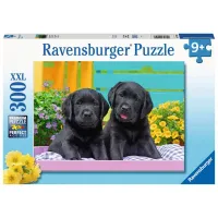 Ravensburger puzzel 300 stukjes 9 + Zwarte Labradors